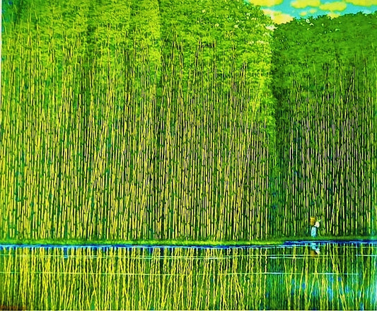 Rich Green Bamboo Forest