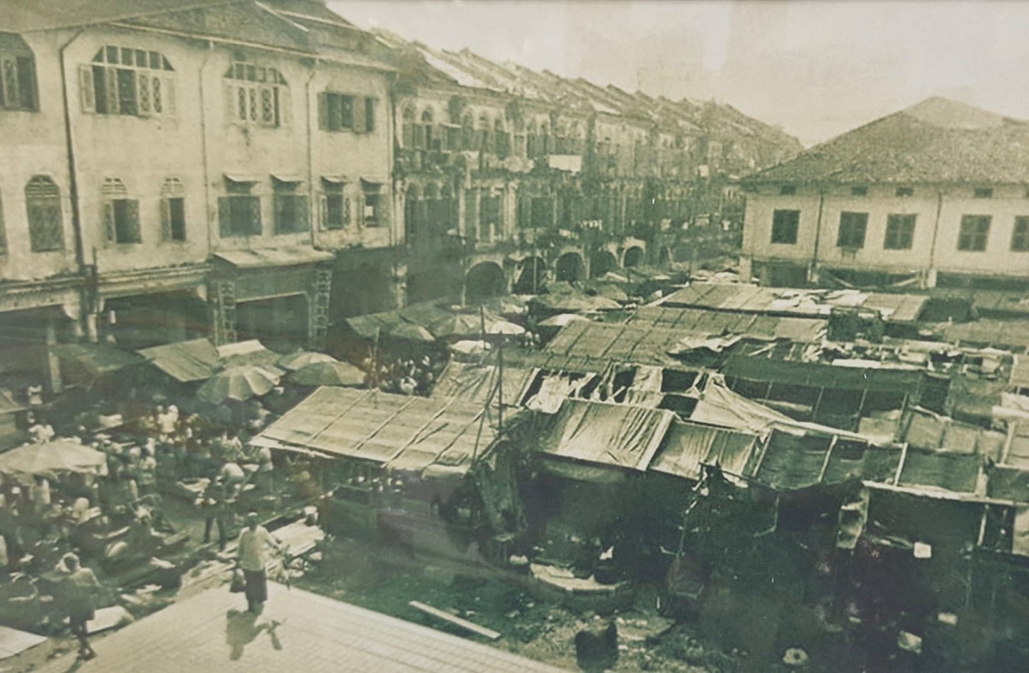 The Many Faces of Sago Street