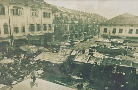 The Many Faces of Sago Street