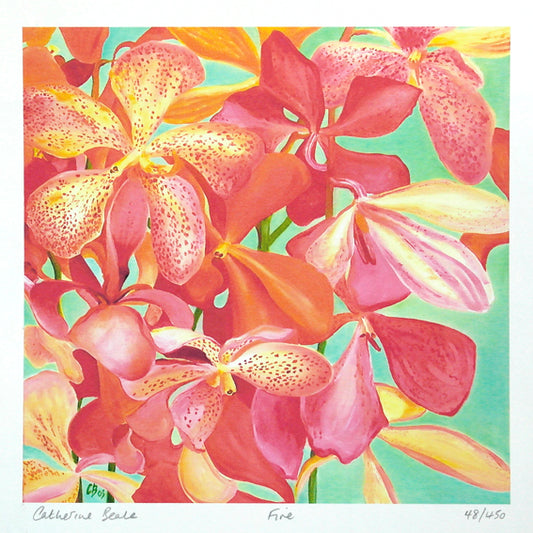 Fire (Native Red Orchids in Singapore)