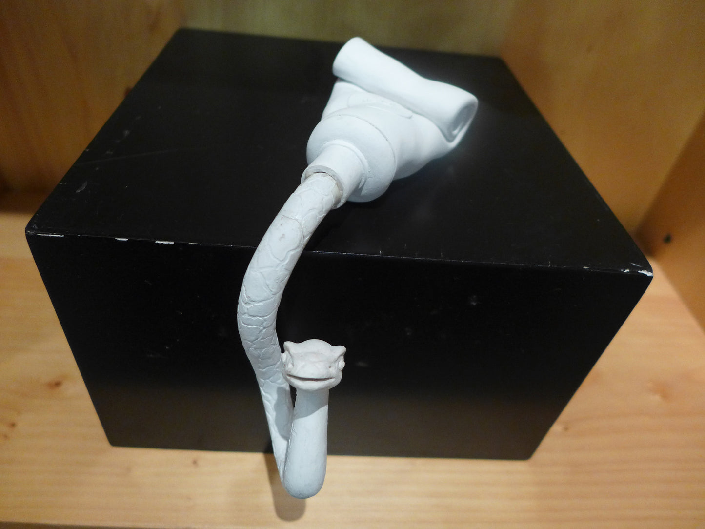 Snake in A Toothpaste